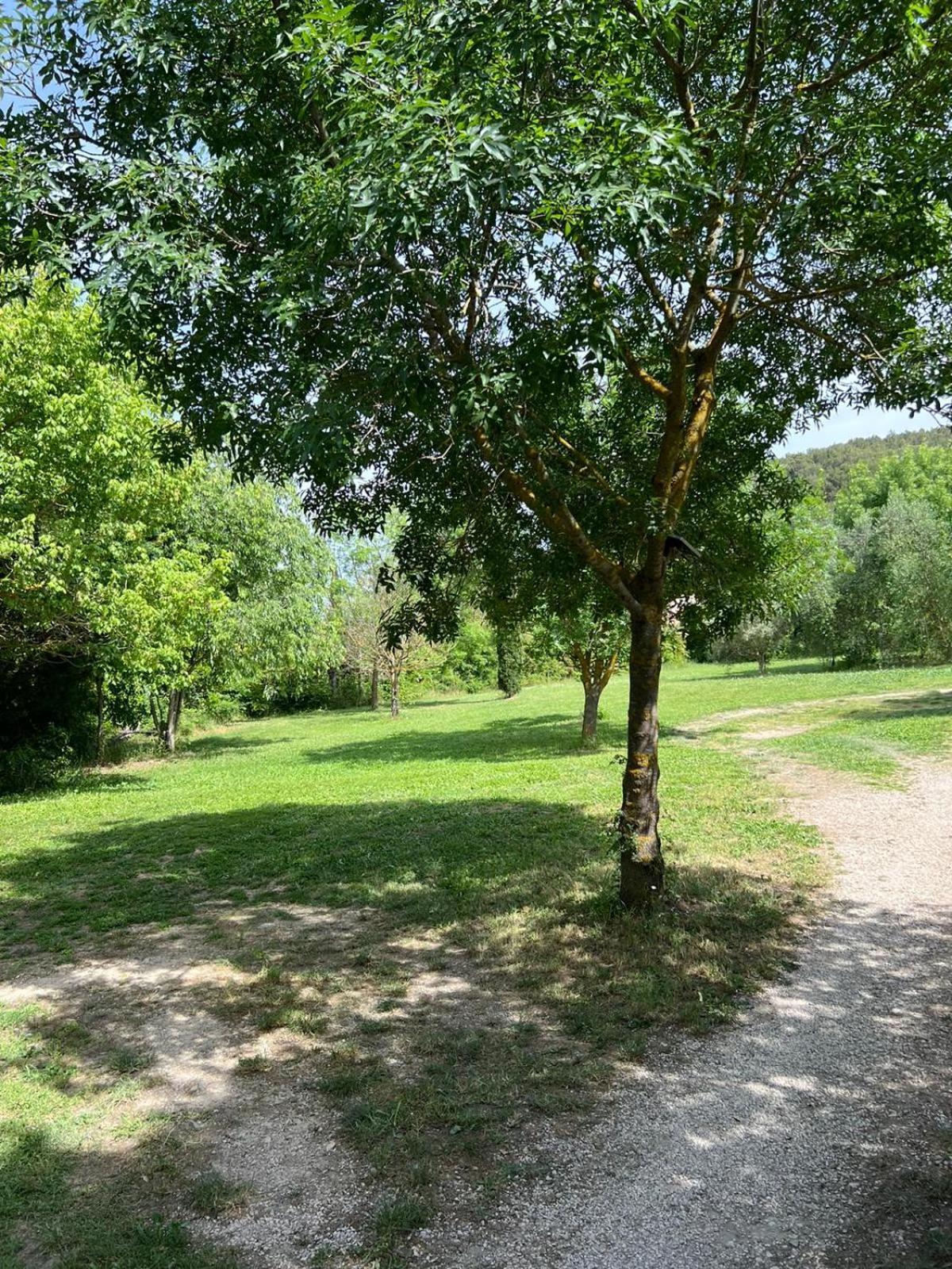 Dans La Campagne Aixoise *